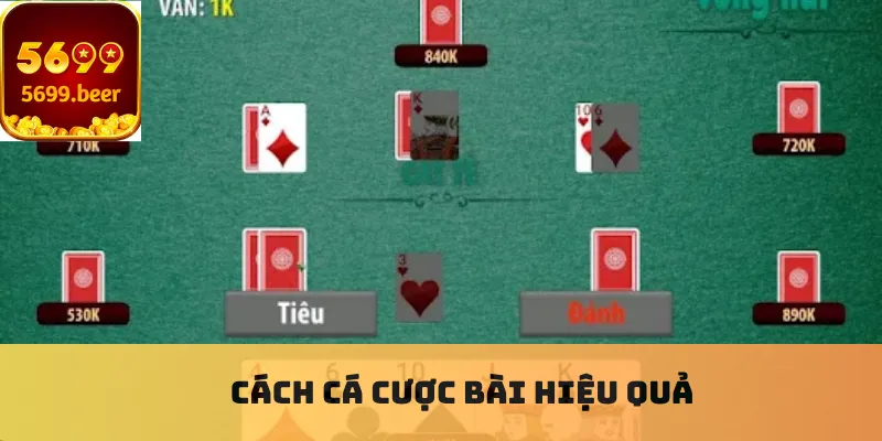 Cách cá cược bài hiệu quả