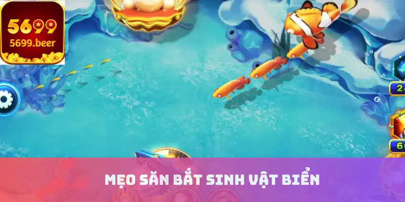 Mẹo săn bắt sinh vật biển