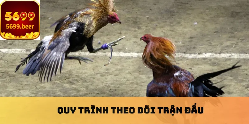 Quy trình theo dõi trận đấu