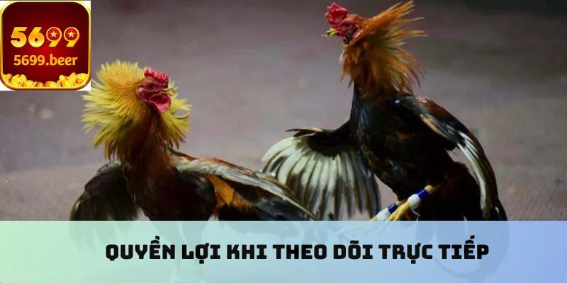 Quyền lợi khi theo dõi trực tiếp